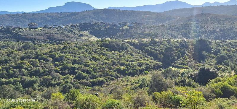 0 Bedroom Property for Sale in Groot Brakrivier Central Western Cape